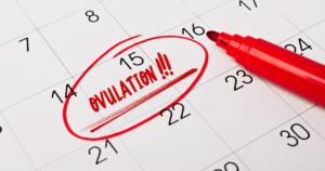 Estimate Your Ovulation Date For Free